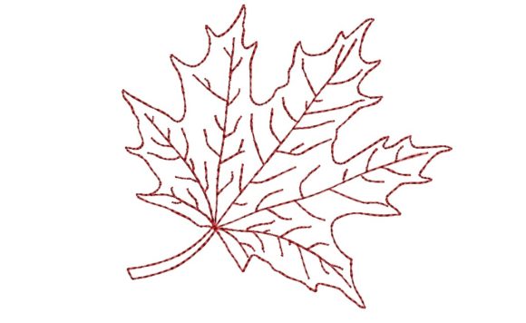 Maple Leaf: A Versatile Design for Autumn and Beyond