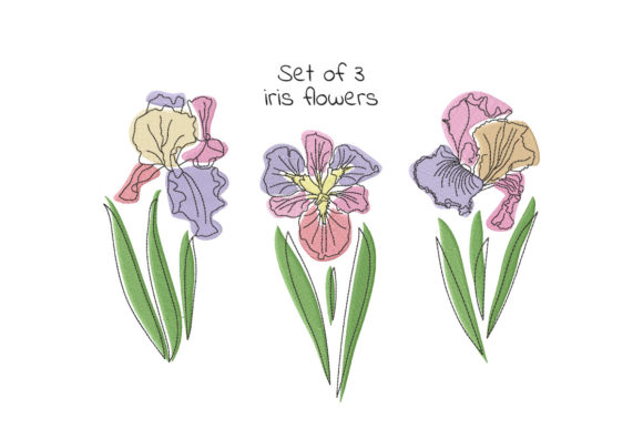 Set of Three Iris Flowers: A Charming Addition