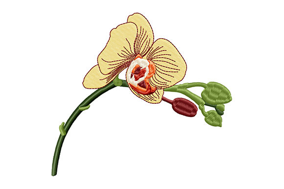 Yellow Orchid Bud Flower: A Versatile Embroidery Design